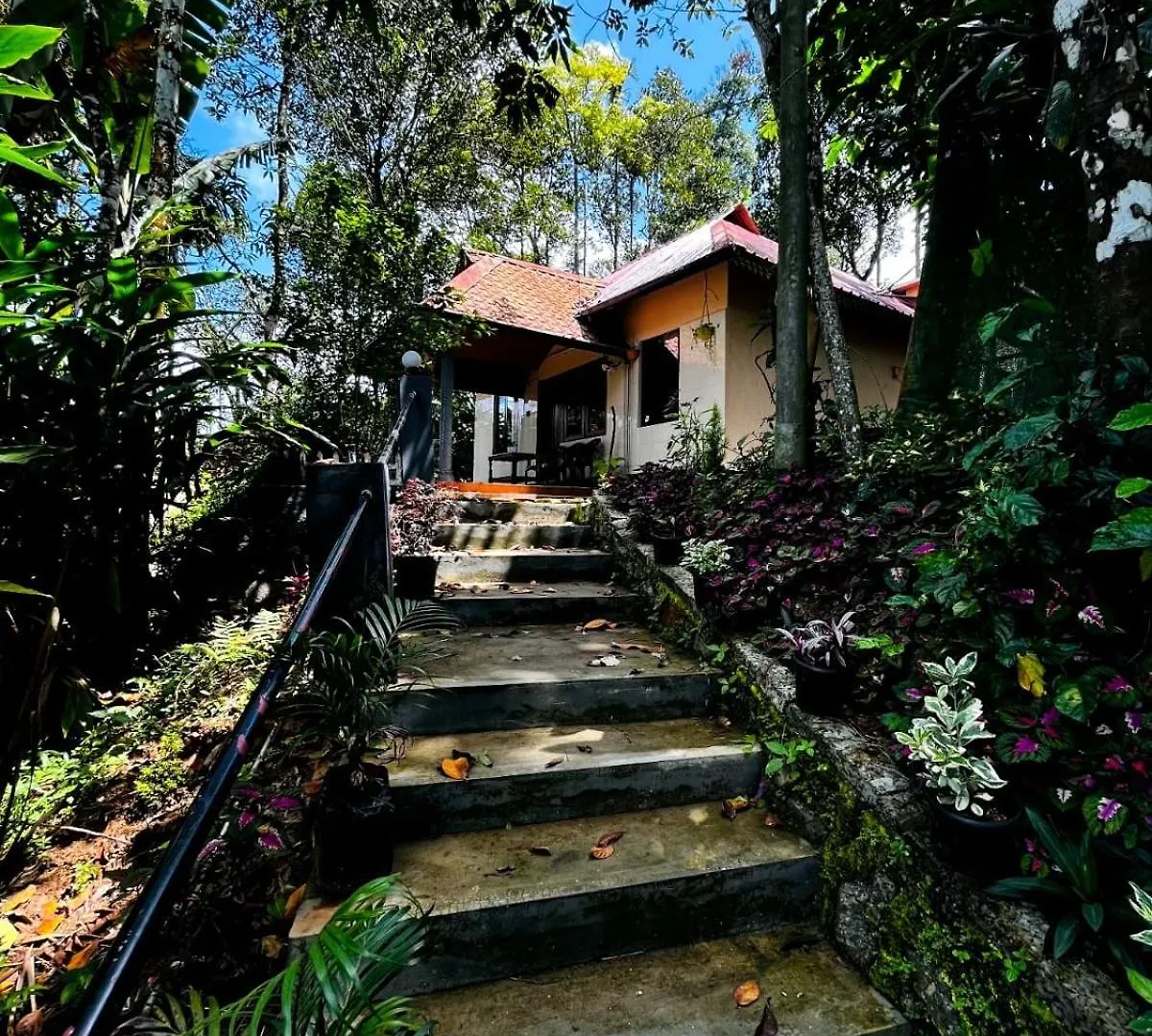 Jojozcottage Munnar