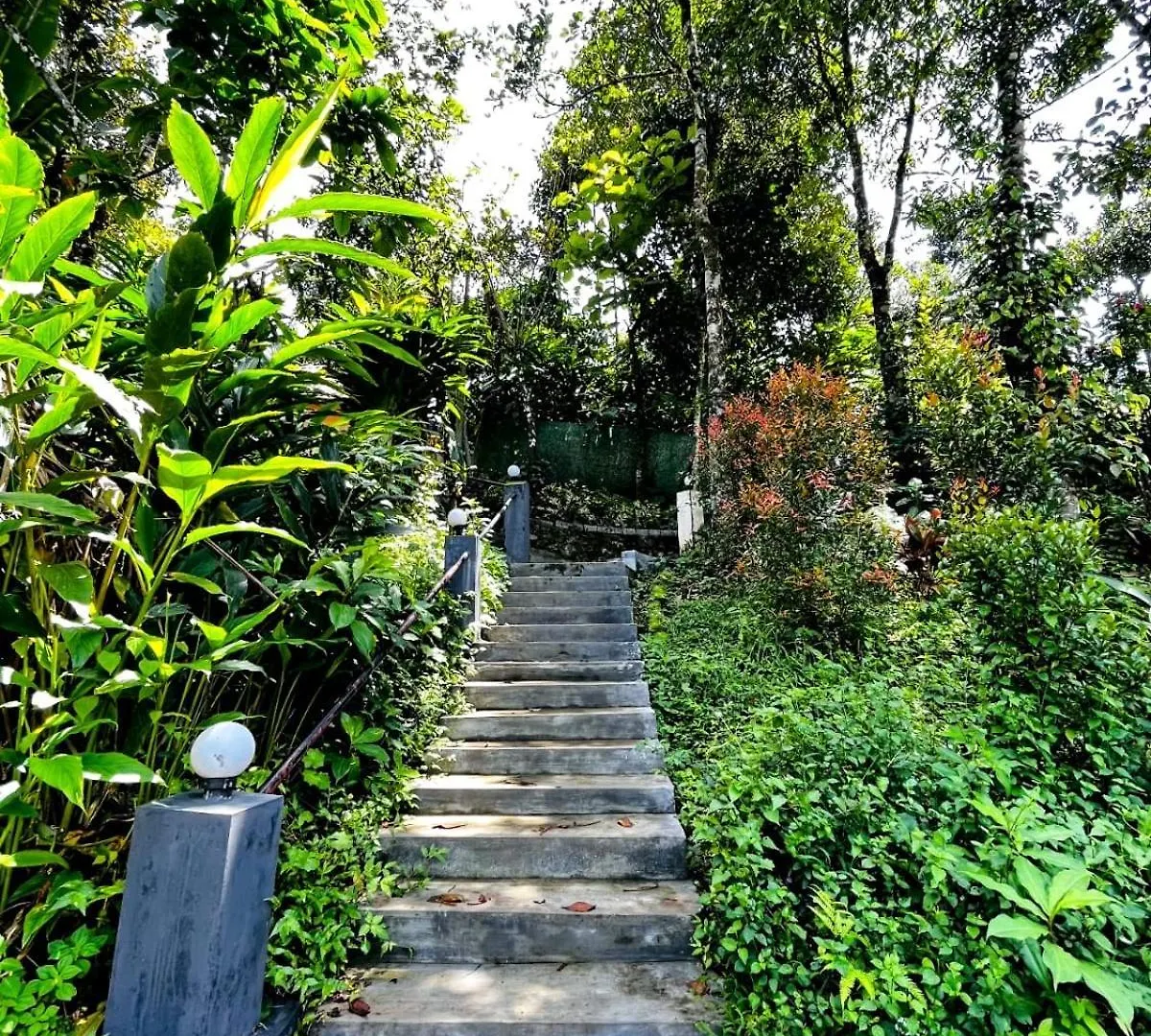Jojozcottage Munnar 0*,