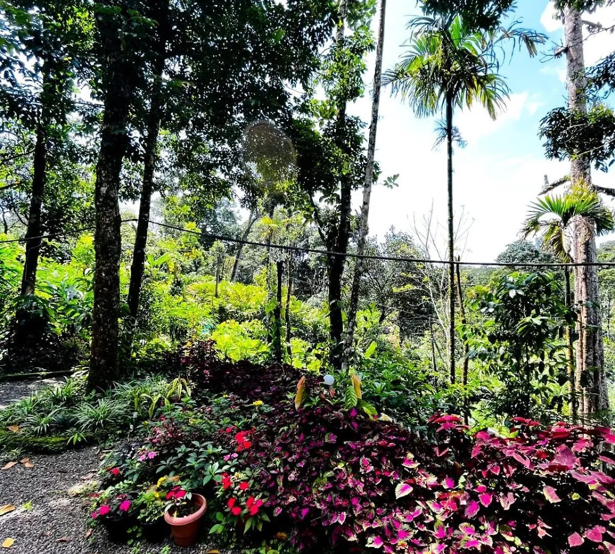 Jojozcottage Munnar Apartment
