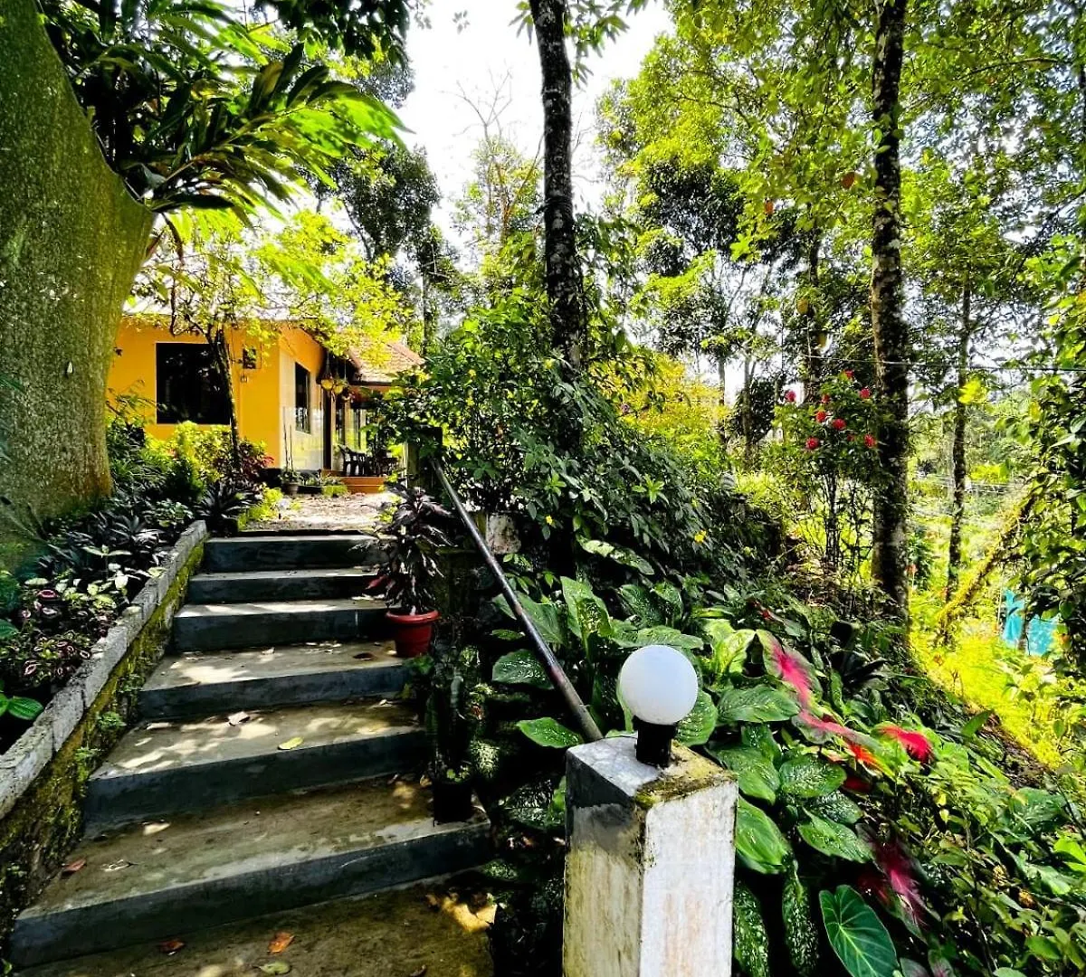 Jojozcottage Munnar